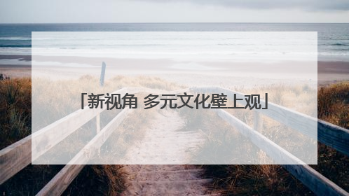 新视角 多元文化壁上观
