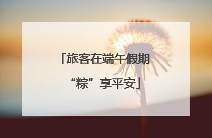 旅客在端午假期“粽”享平安