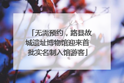 无需预约，路县故城遗址博物馆迎来首批实名制入馆游客