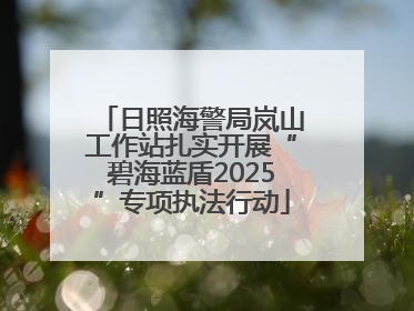 日照海警局岚山工作站扎实开展“碧海蓝盾2025”专项执法行动