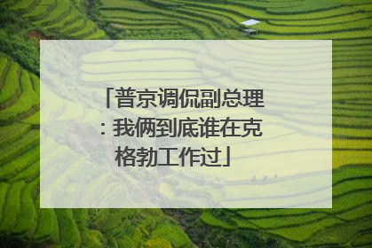 普京调侃副总理：我俩到底谁在克格勃工作过