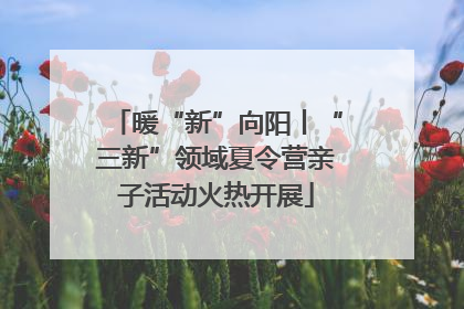 暖“新”向阳丨“三新”领域夏令营亲子活动火热开展