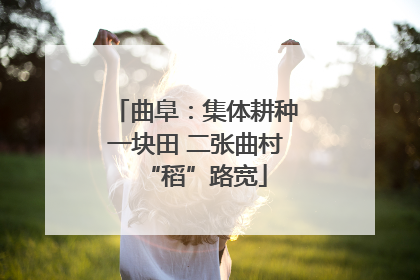 曲阜：集体耕种一块田 二张曲村“稻”路宽