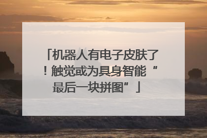 机器人有电子皮肤了！触觉或为具身智能“最后一块拼图”