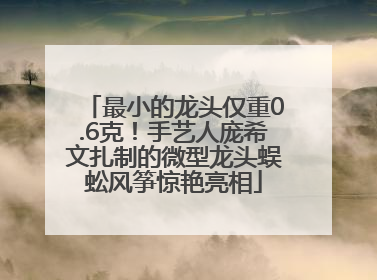 最小的龙头仅重0.6克！手艺人庞希文扎制的微型龙头蜈蚣风筝惊艳亮相