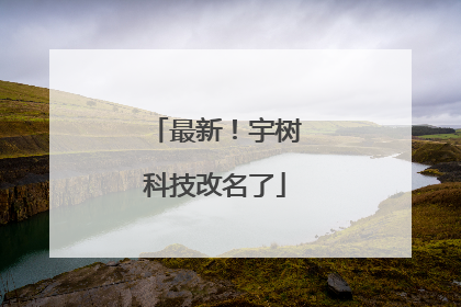 最新！宇树科技改名了