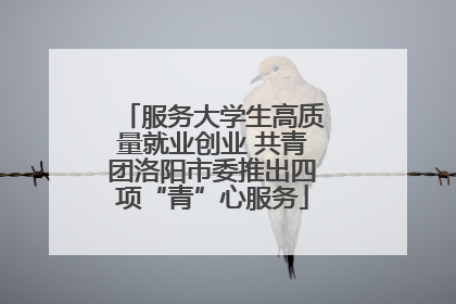服务大学生高质量就业创业 共青团洛阳市委推出四项“青”心服务