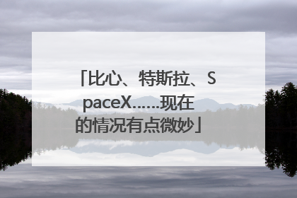 比心、特斯拉、SpaceX……现在的情况有点微妙
