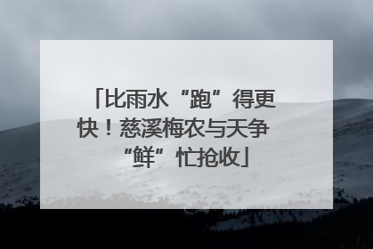 比雨水“跑”得更快！慈溪梅农与天争“鲜”忙抢收