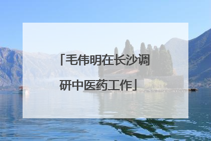 毛伟明在长沙调研中医药工作