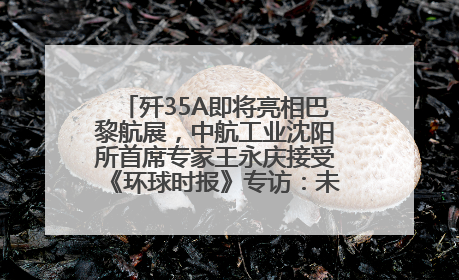 歼35A即将亮相巴黎航展，中航工业沈阳所首席专家王永庆接受《环球时报》专访：未来数量可以有很多