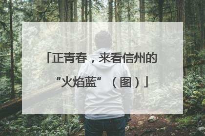 正青春，来看信州的“火焰蓝”（图）