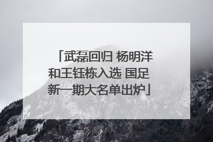 武磊回归 杨明洋和王钰栋入选 国足新一期大名单出炉