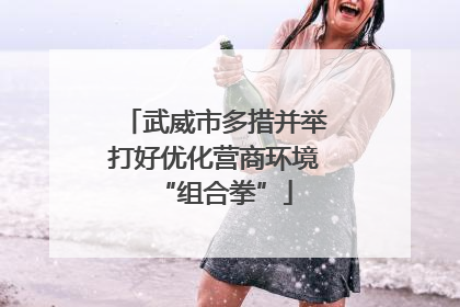 武威市多措并举打好优化营商环境“组合拳”