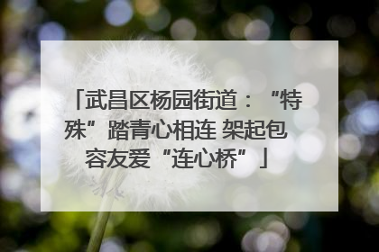 武昌区杨园街道：“特殊”踏青心相连 架起包容友爱“连心桥”