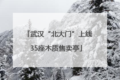 武汉“北大门”上线35座木质售卖亭