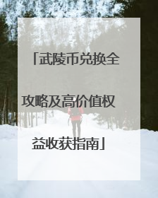 武陵币兑换全攻略及高价值权益收获指南