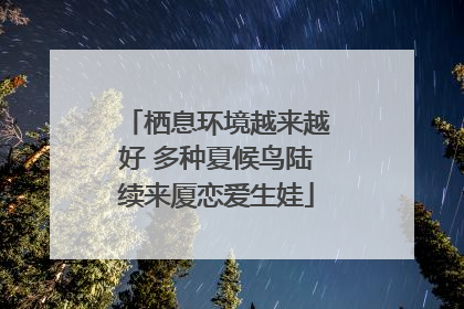 栖息环境越来越好 多种夏候鸟陆续来厦恋爱生娃