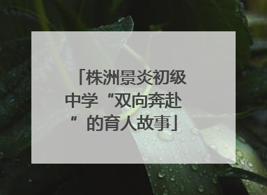 株洲景炎初级中学“双向奔赴”的育人故事