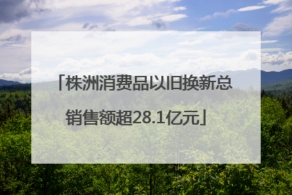 株洲消费品以旧换新总销售额超28.1亿元