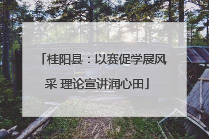 桂阳县：以赛促学展风采 理论宣讲润心田