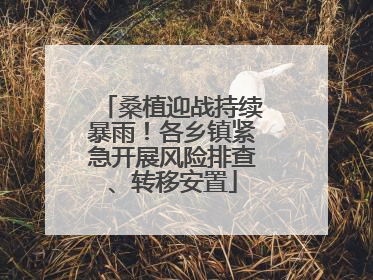 桑植迎战持续暴雨！各乡镇紧急开展风险排查、转移安置