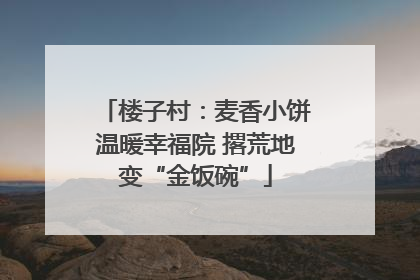 楼子村：麦香小饼温暖幸福院 撂荒地变“金饭碗”