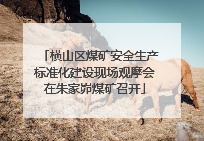 横山区煤矿安全生产标准化建设现场观摩会在朱家峁煤矿召开