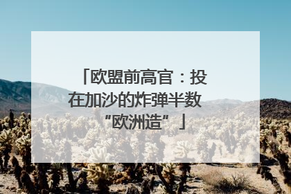 欧盟前高官：投在加沙的炸弹半数“欧洲造”