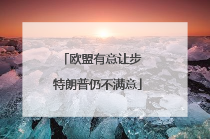 欧盟有意让步 特朗普仍不满意