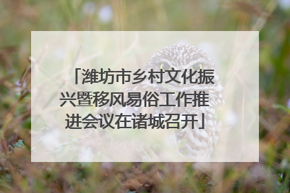 潍坊市乡村文化振兴暨移风易俗工作推进会议在诸城召开