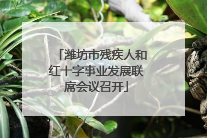 潍坊市残疾人和红十字事业发展联席会议召开