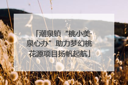 潮泉镇“桃小美·泉心办”助力梦幻桃花源项目扬帆起航