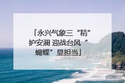 永兴气象三“精”护安澜 迎战台风“蝴蝶”显担当