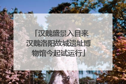 汉魏盛景入目来 汉魏洛阳故城遗址博物馆今起试运行