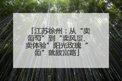 江苏徐州：从“卖葡萄”到“卖风景、卖体验”阳光玫瑰“葡”就致富路