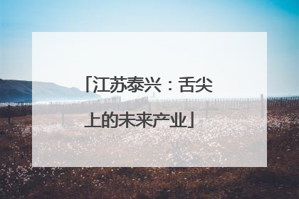 江苏泰兴：舌尖上的未来产业