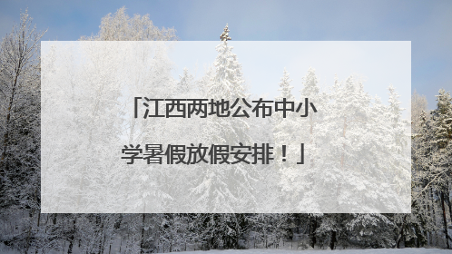 江西两地公布中小学暑假放假安排！