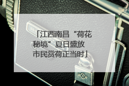 江西南昌“荷花秘境”夏日盛放 市民赏荷正当时