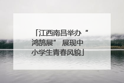 江西南昌举办“鸿鹄展” 展现中小学生青春风貌