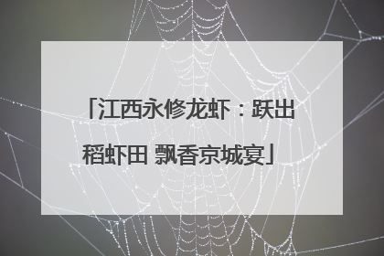 江西永修龙虾：跃出稻虾田 飘香京城宴