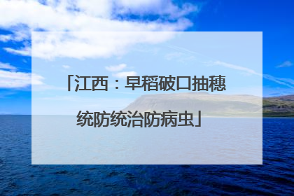 江西：早稻破口抽穗 统防统治防病虫