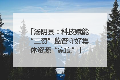 汤阴县：科技赋能“三资”监管守好集体资源“家底”