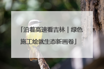 沿着高速看吉林｜绿色施工绘就生态新画卷