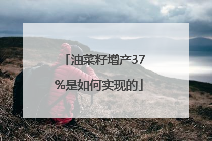油菜籽增产37%是如何实现的