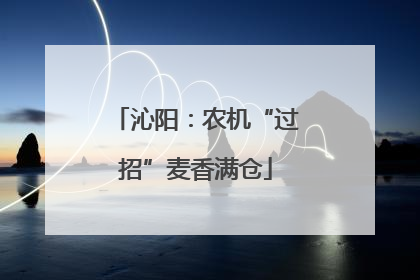 沁阳：农机“过招”麦香满仓