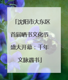 沈阳市大东区首届晒书文化节盛大开幕：千年文脉遇书