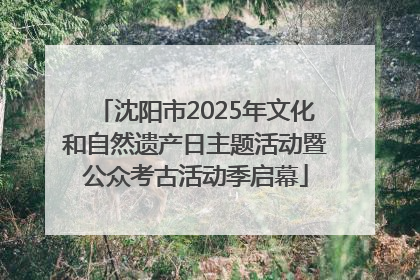沈阳市2025年文化和自然遗产日主题活动暨公众考古活动季启幕