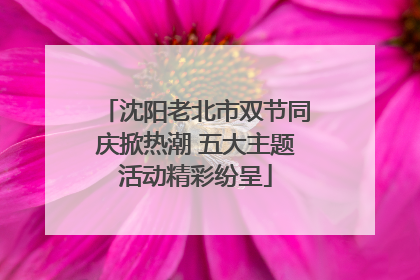 沈阳老北市双节同庆掀热潮 五大主题活动精彩纷呈