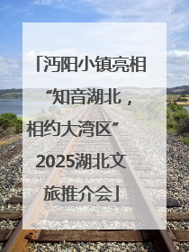 沔阳小镇亮相 “知音湖北，相约大湾区” 2025湖北文旅推介会